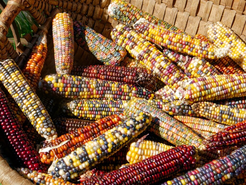 Spanish style corn
